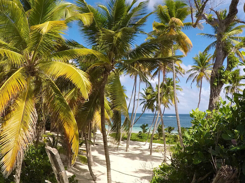 plage anse michel